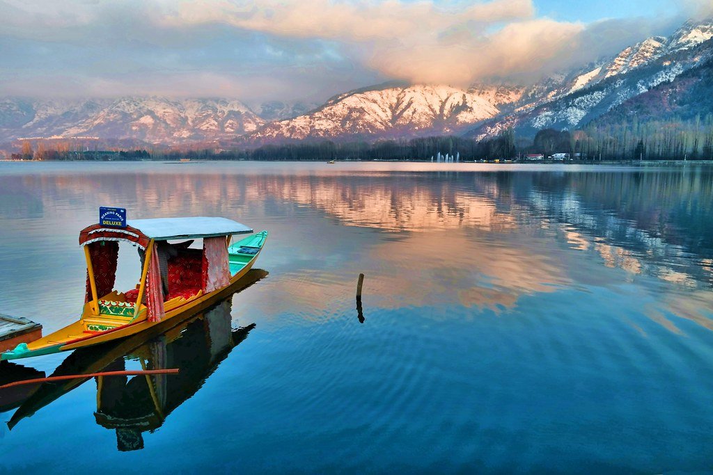Shikara ride on Dal Lake